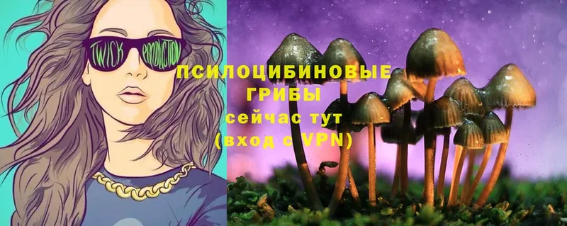 ОМГ ОМГ онион  где купить   Беломорск  Галлюциногенные грибы Magic Shrooms 